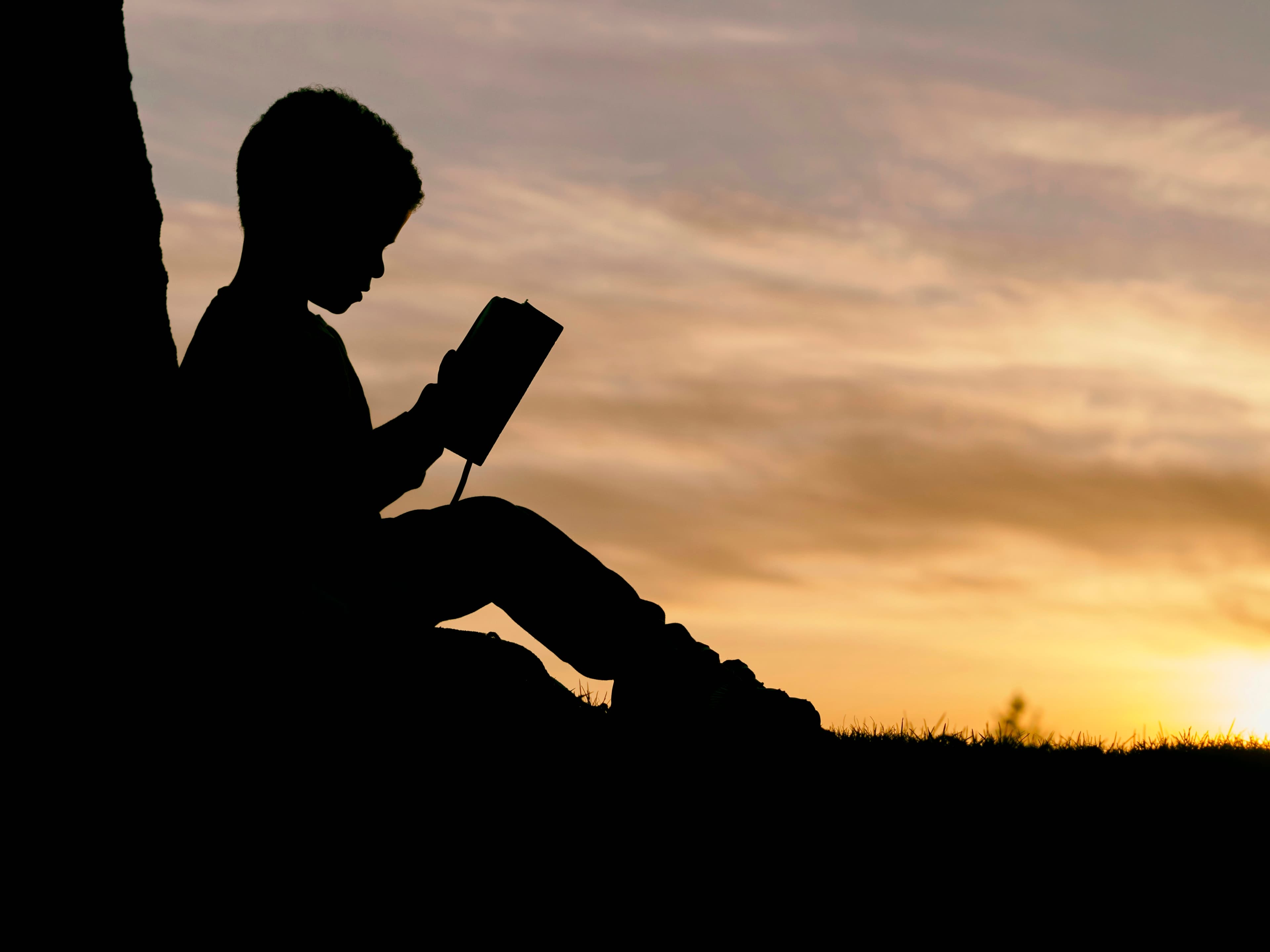 Sapiens: A Brief History of Humankind